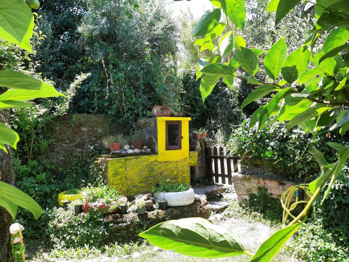 Casa Do Sr. Falcao Miranda do Corvo Exterior photo